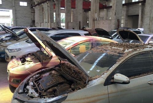 14万元买精品二手车，事后发现竟是泡水车，老板却早已跑路